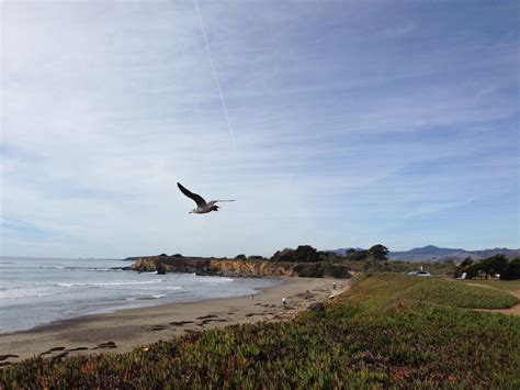 Cambria' CA Beaches #Cambria | Beach rules, San simeon, Beach