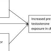 Risk Model Of Prenatal Testosterone Exposure As Mechanism For