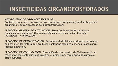 Plaguicidaspptx Como Funcionan Insecticidas Ppt