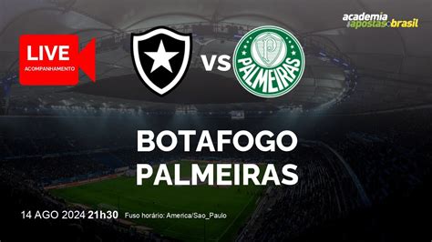 Botafogo X Palmeiras Ao Vivo AmÉrica Do Sul Copa Libertadores Da