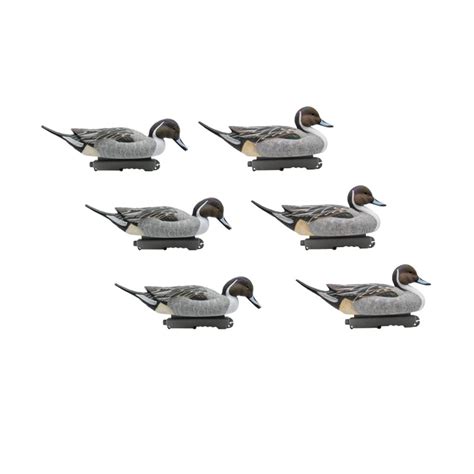 Set Of 6pcs Of Male Pintail Mold