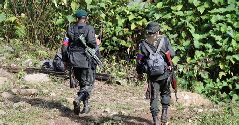 Paramilitares estarían ofreciendo plata a cabecillas de las Farc Benedetti