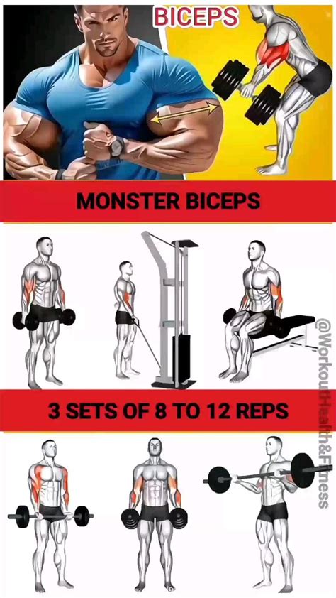 Ultimate Biceps Workout Routine. Biceps Blasting Exercise Plan. in 2024 ...