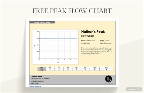 Free Peak Flow Chart - Google Sheets, Excel | Template.net