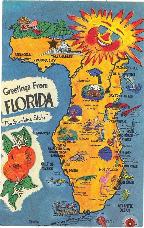 Vintage Florida Postcard Greetings From Florida Sunshine Etsy Map