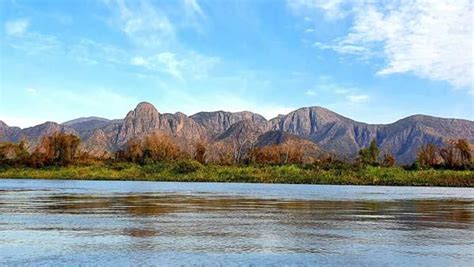 Saiba Qual A Melhor Poca Para Ir Ao Pantanal Ms