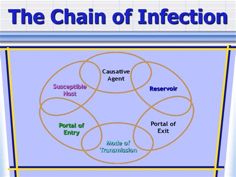 Ppt The Chain Of Infection Powerpoint Presentation Free Download