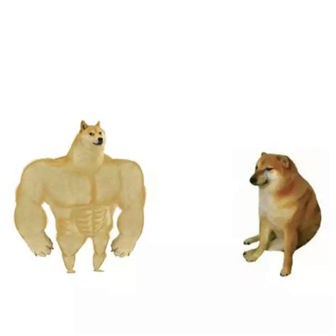 Doge Meme Templates - Indian Meme Templates