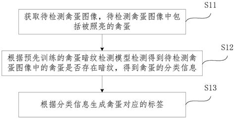 一种禽蛋检测方法、图像处理方法及装置与流程