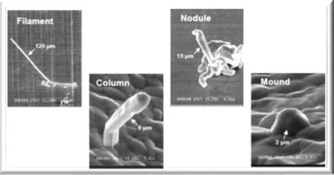 How And Why Tin Whisker Grow In Electronic Components