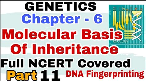 Ch Molecular Basis Of Inheritance Human Genome Project Ncert