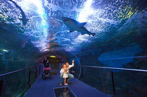 Aquarium Donostia - San Sebastián - Museums in Hendaye - Guide du Pays Basque