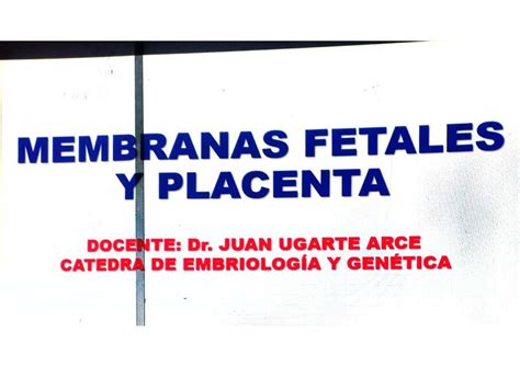 Membranas Fetales Y Placenta Tatiana Belen Flores Acho Udocz