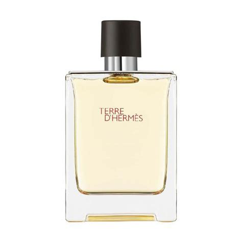 Perfume Terre Dhermès Hermès Masculino Eau De Toilette 50ml Perfume Masculino Magazine Luiza