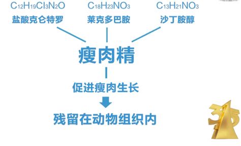 3·15晚会曝光丨又见瘦肉精！瘦肉精羊流向多地！