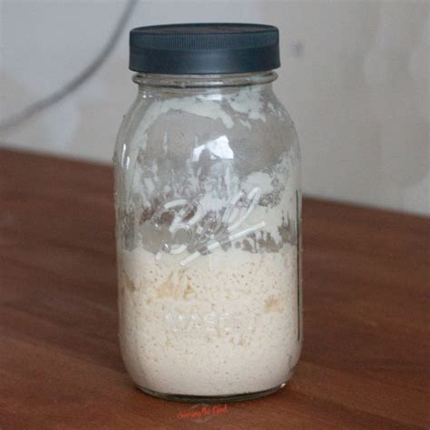 Easy Steps To Make A Homemade Sourdough Starter From Scratch