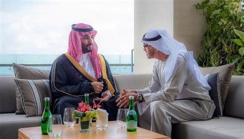 محمد بن زايد مقابلة محمد بن سلمان عبرت عن رؤية واثقة