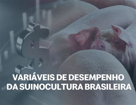 As Vari Veis Que V O Definir O Desempenho Da Suinocultura Brasileira