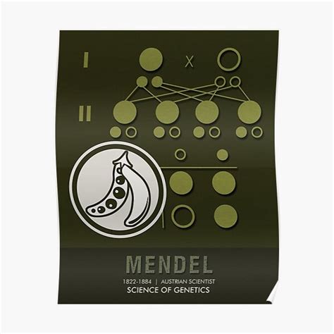 Science Posters - Gregor Mendel - Geneticist, Scientist Premium Matte ...