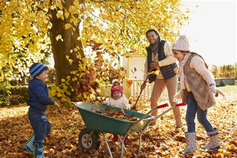 5 Aktivitäten Mit Kindern Im Freien Der Herbst