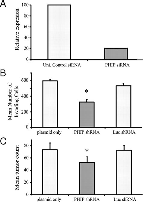 Pleckstrin Homology Domain Interacting Protein Phip As A Marker And