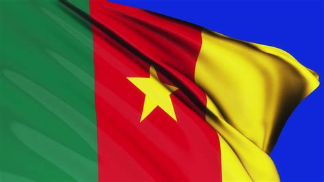 Loop Of Cameroon Flag Waving On Blue Screen Stock Video At Vecteezy