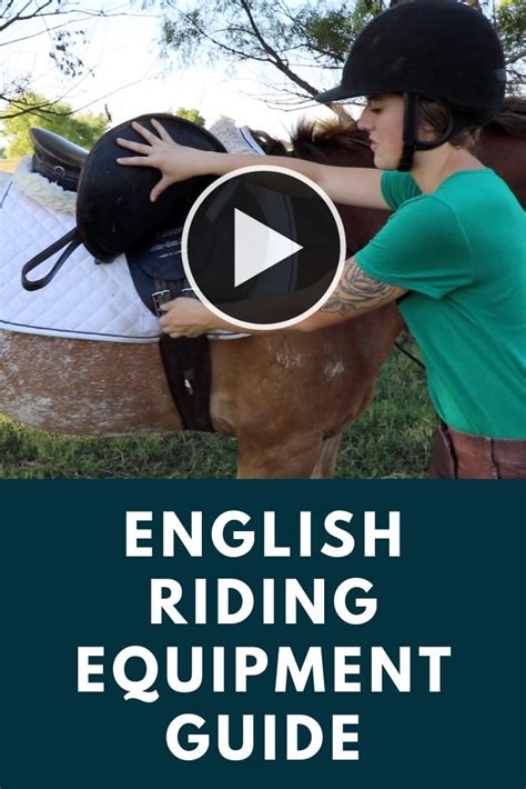 English Horseback Riding Equipment Guide English Horseback Riding