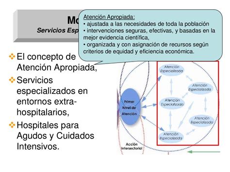 Redes Integradas De Servicio De Salud Dr Holder