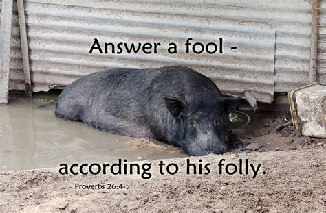 Answering A Fool According To His Folly Proverbs 264 5 A Clay Jar