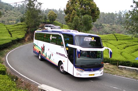 Gallery Sewa Bus Pariwisata Jakarta Bus Suryaputra