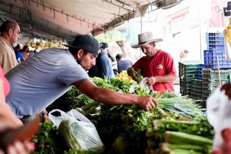 Etiqueta Actividades Productivas El Financiero