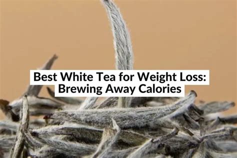 Best White Tea For Weight Loss: Brewing Away Calories (2024)