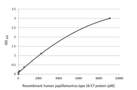 Hpv16 E7 Antibody Hl1821 Azide And Bsa Free Nbp3 25511 Novus