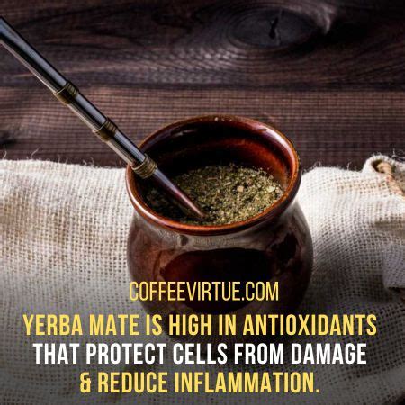 Yerba Mate vs. Coffee - Key Differences You Must Know