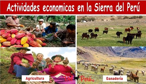 Economia De La Sierra Peruana Sectores Econo Del Peru