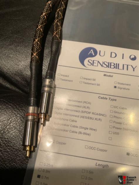 Audio Sensibility Signature Silver Interconnect Photo Canuck