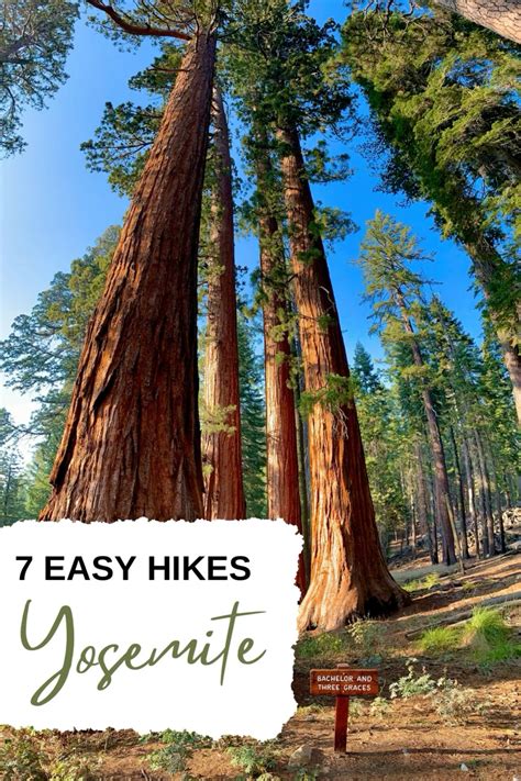 My Favorite Easy Hikes In Yosemite National Park Artofit