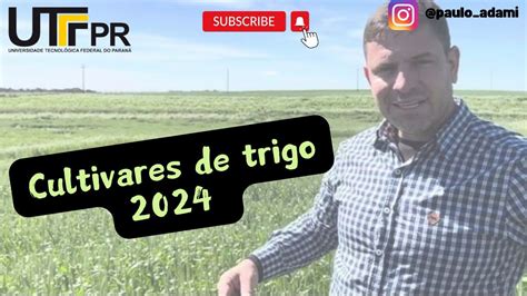 Ensaio Cultivares De Trigo 2024 YouTube