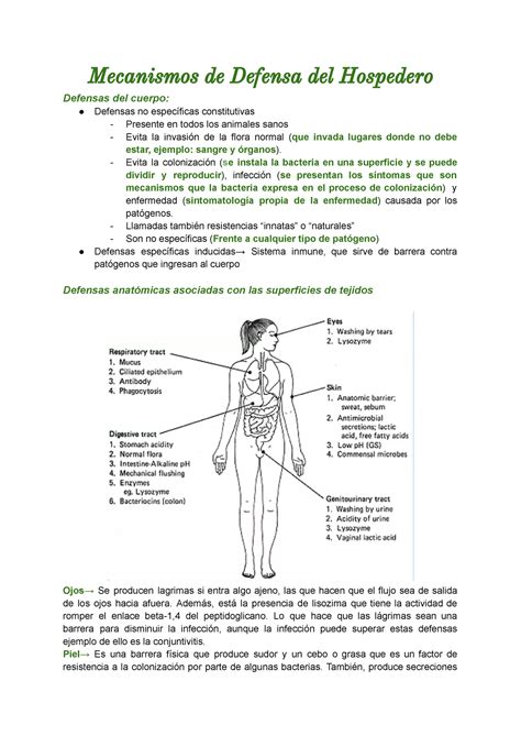 Clases Patógenos Bacterianos Mecanismos de Defensa del Hospedero