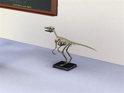 Simming in Magnificent Style: Eoraptor skeleton