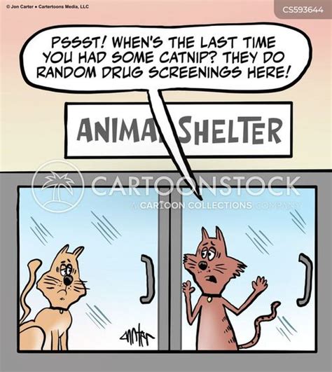 Drugs Cartoons and Comics - funny pictures from CartoonStock