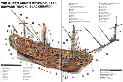 Pirates And Corsaires Pourquoi Le Pirate Barbe Noire A Renommé La