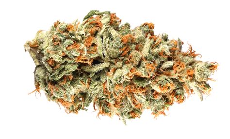 Here Are The Rarest Weed Strains On Earth Right Now | Herb