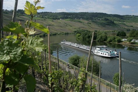 Mosel Radweg Gesamtstrecke Von Perl Bis Koblenz