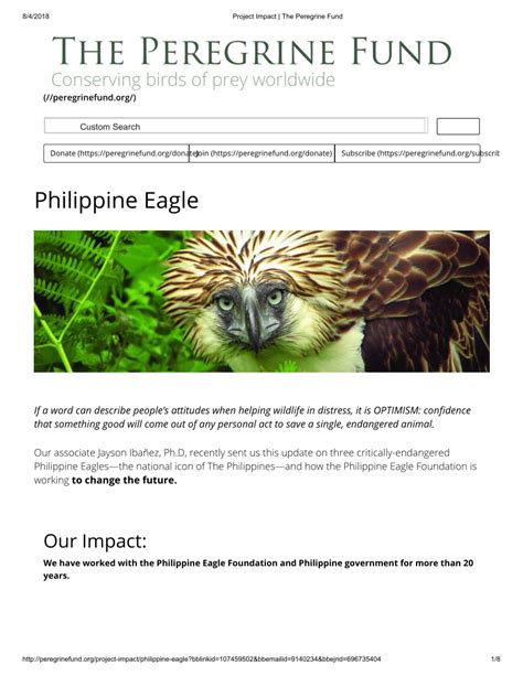 Philippine Eagle Foundation Logo