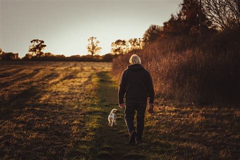 Les bénéfices de la marche régulière sur la santé physique et mentale