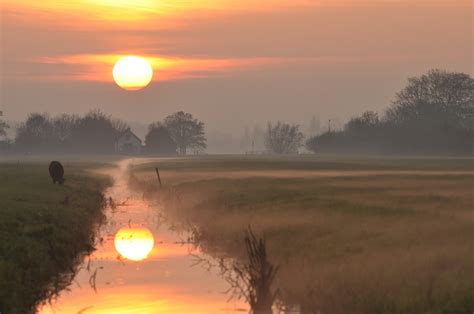 Nazomer Seizoen Van Het Aarde Element Griet Callens