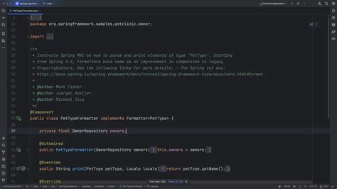 Mouse Zoom - JetBrains Guide