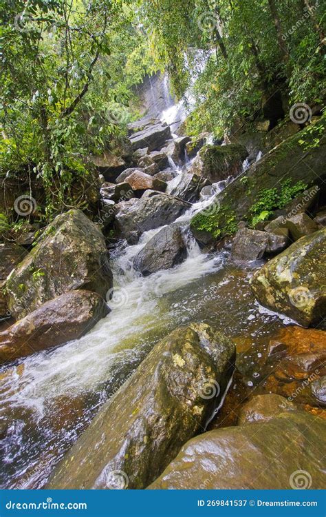 Waterfall, Sinharaja National Park Rain Forest, Sri Lanka Stock Image ...