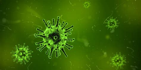 Cos Il Virus Respiratorio Sinciziale Sintomi E Contagio